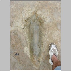 2000b-dsk14-MVC-004F mod.JPG